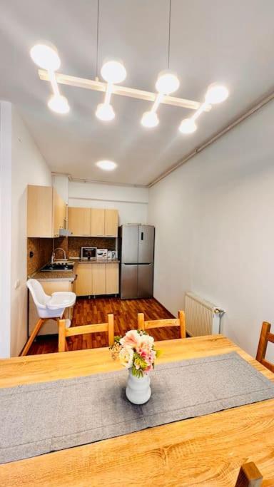 Otopeni Airport Apartment With Private Garden Exteriér fotografie