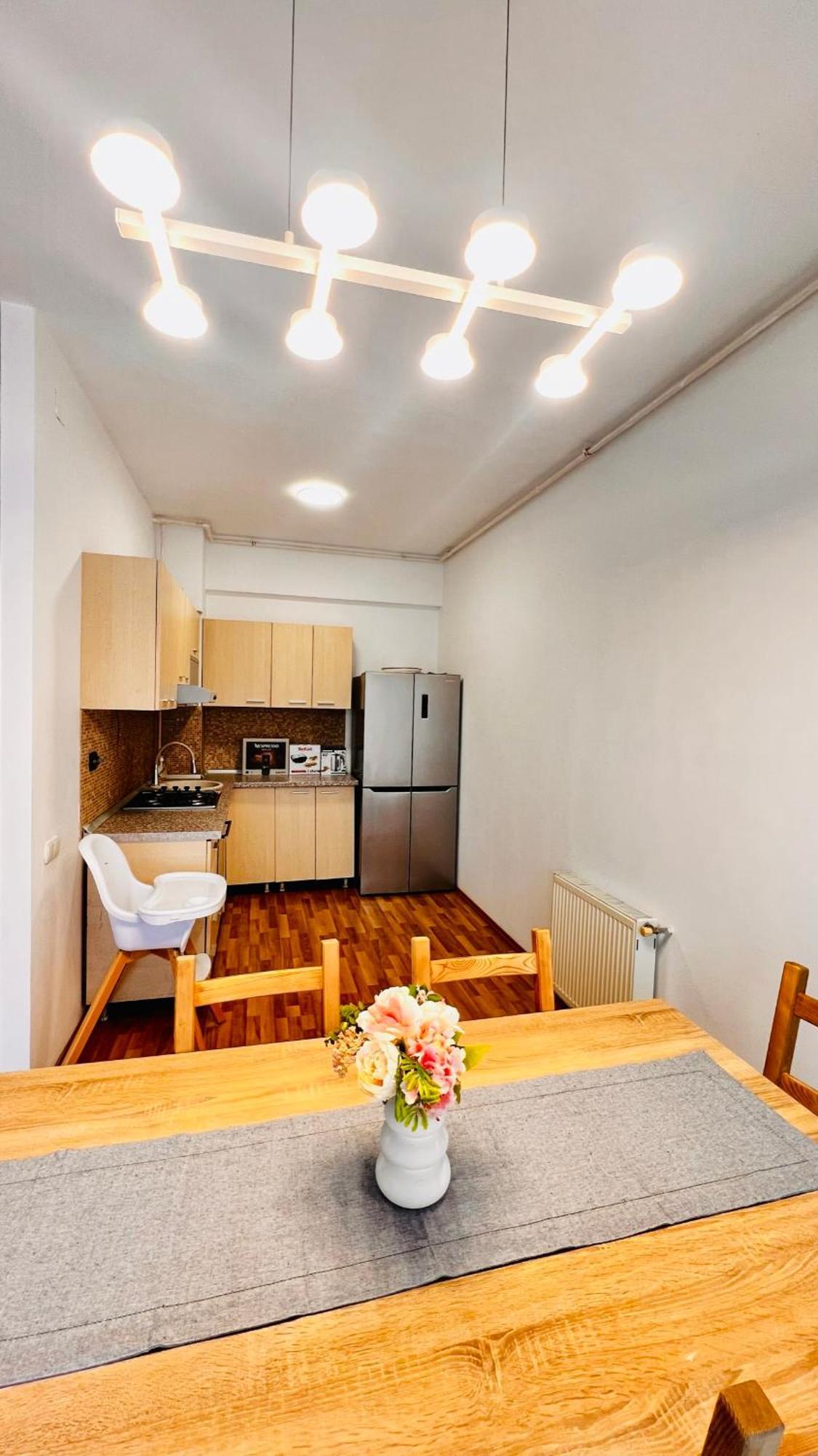 Otopeni Airport Apartment With Private Garden Exteriér fotografie