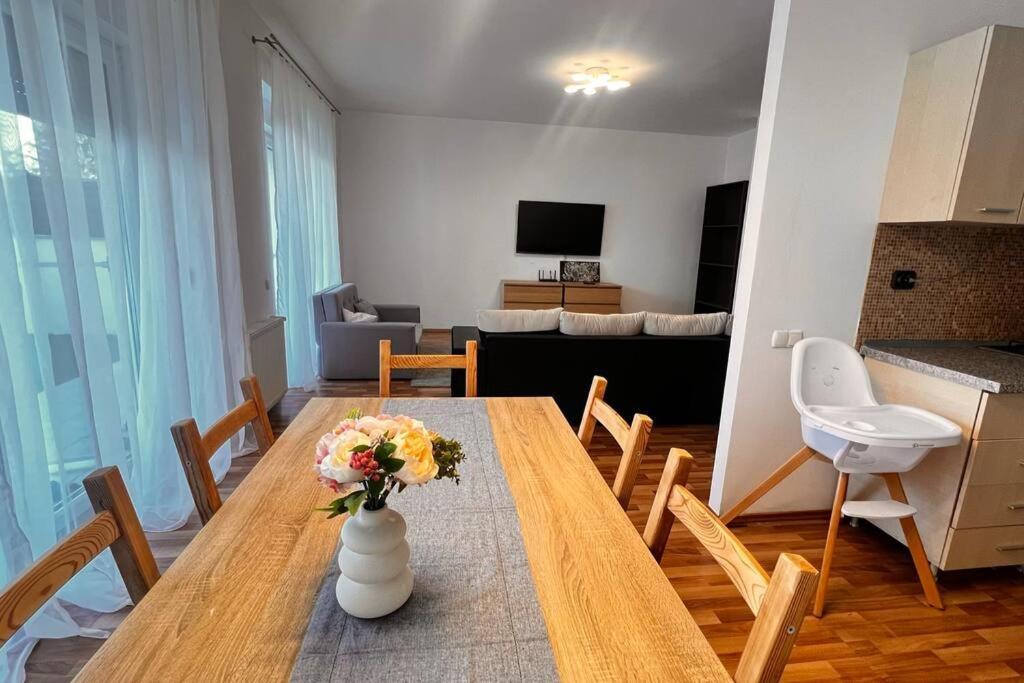 Otopeni Airport Apartment With Private Garden Exteriér fotografie